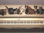 1-й кошачий фортепьянный оркестр